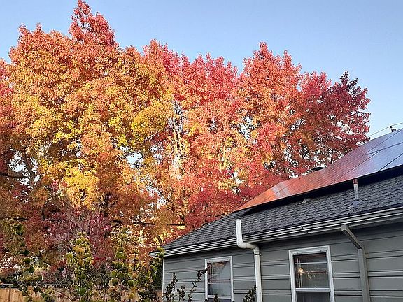 autumn colors