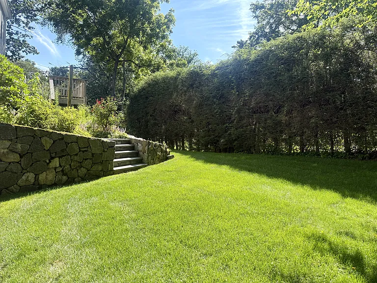 back yard