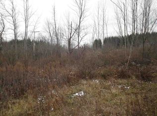 0 Roney Rd, Preston Hollow, NY 12469