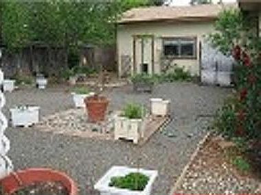 Great bar-b--que or fire pit area