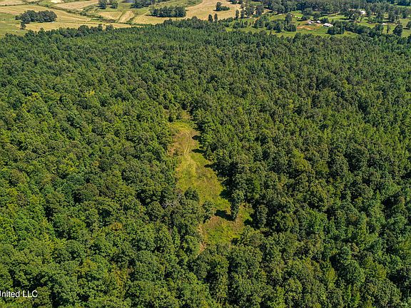 4th image of 2295 Chapman Rd