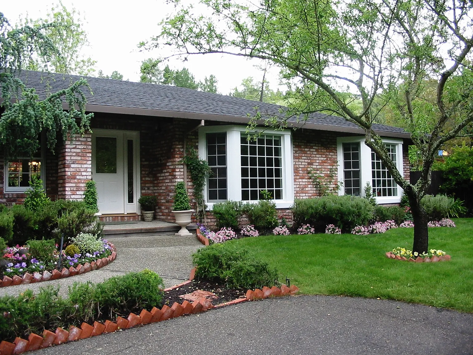 1003 Pine Ln photo 1