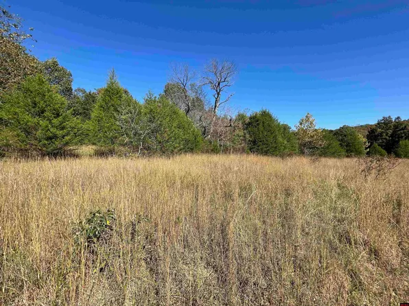 001-03426-010 Light Rd, Clarkridge, AR 72623