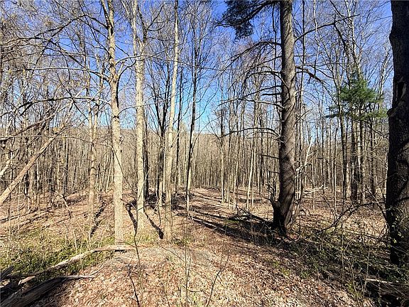4th image of Fitzgerald Rd Lot 12