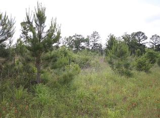 433 Pine Tree Loop, Bastrop, TX 78602