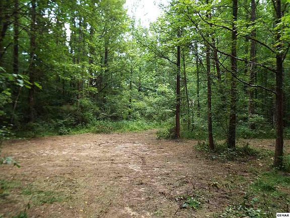 4th image of 653 Timber Lake Dr