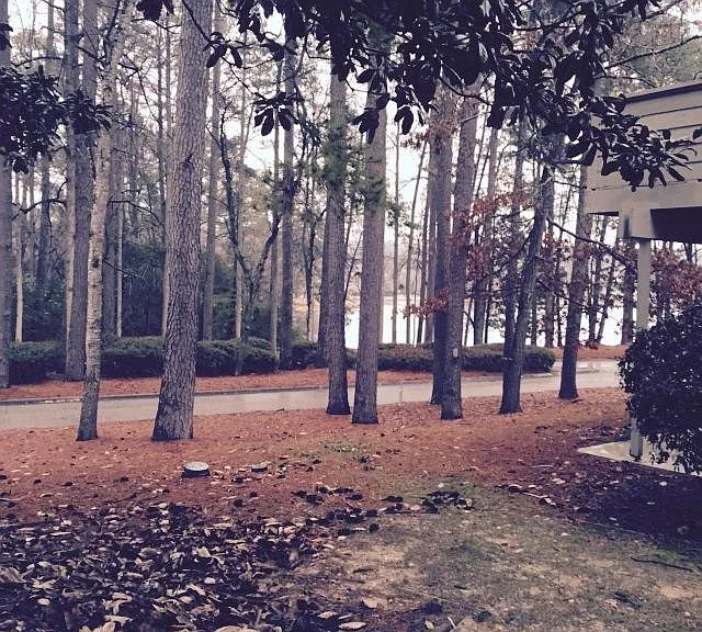 46 Woodwind Ct — Photo 8