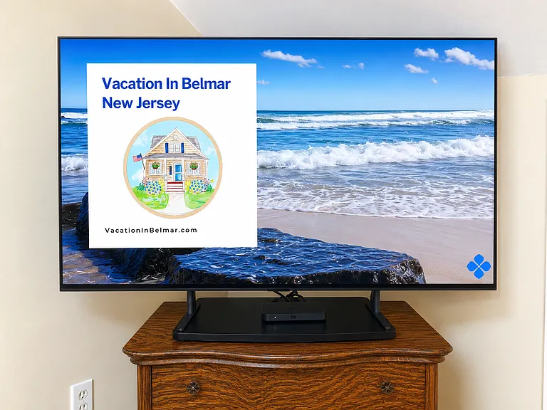 New Sony Bravia smart TV; stream your own Netflix, Prime, etc.