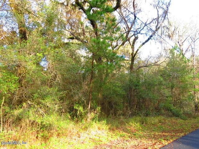 1st image of Tbd E Lake View Dr