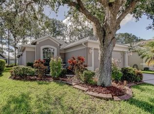 5230 Gato Del Sol Cir, Wesley Chapel, FL 33544