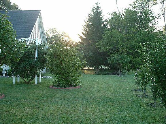 side yard