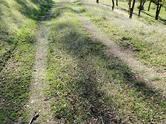 4th image of Penneleme Rd