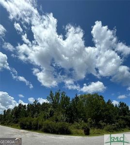 19 Main Trl, Midway, GA, 31320