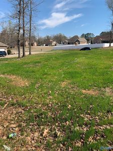 8 Kennedy Cir, Scottsboro, AL, 35768