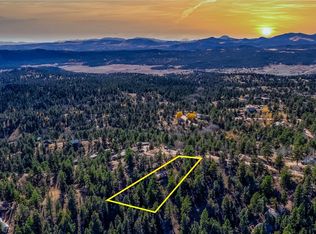 74 Quandry Cir, Florissant, CO 80816