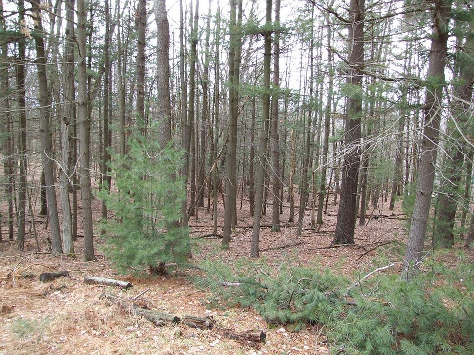 2nd image of Route 507