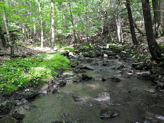 Green Brook