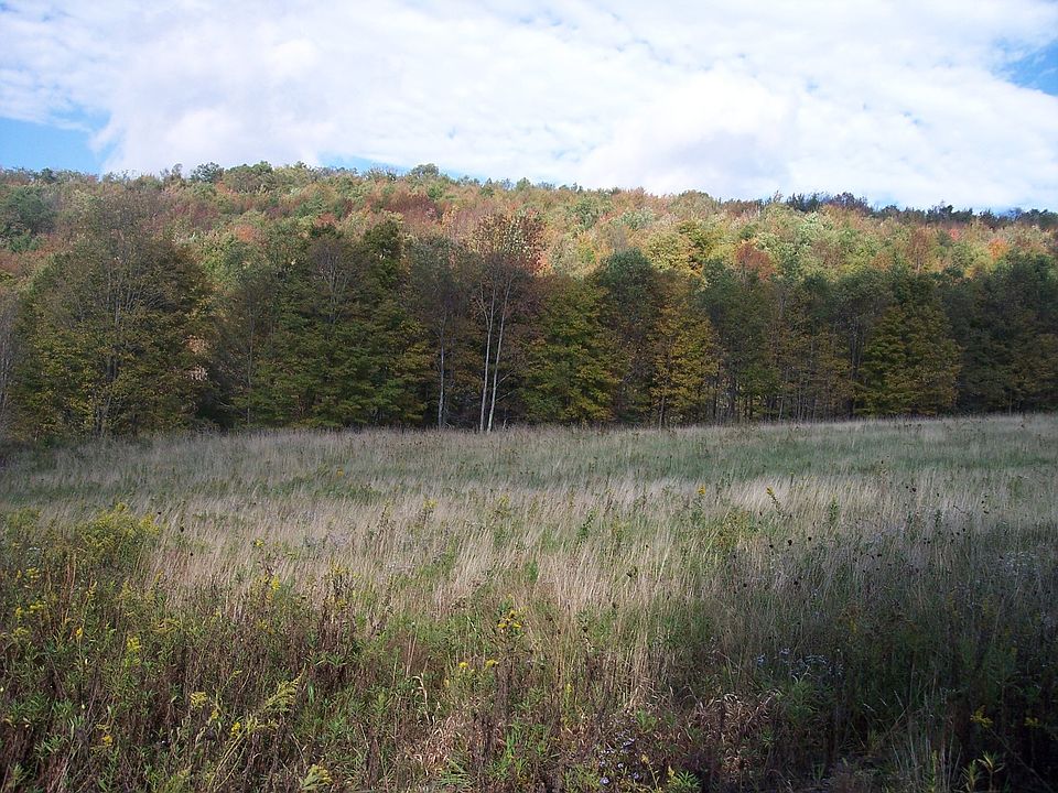 2nd image of 1025 Snake Hill Rd