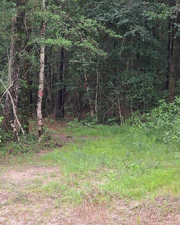 1st image of 0 Grand Pines Dr