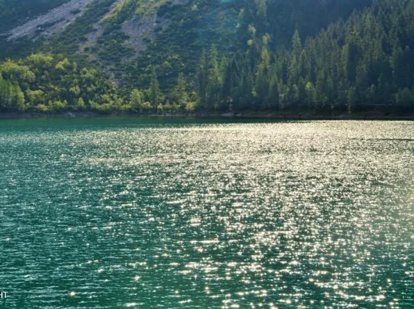 Nhn L1 B8 Chilkat Lake, Haines, AK 99827