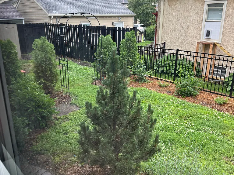 view from dining room