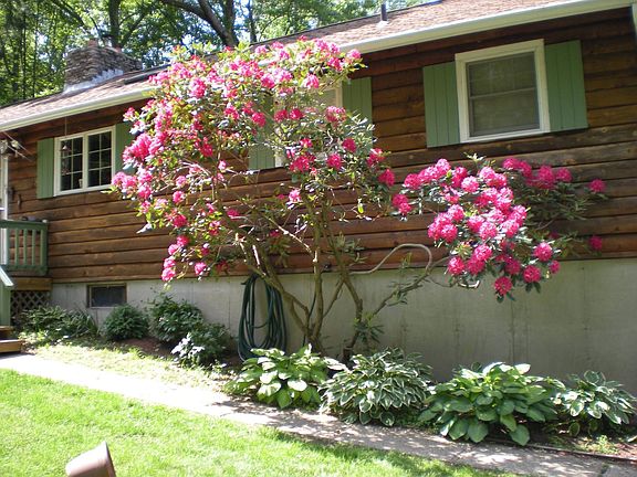 Flowers in bloom - May 