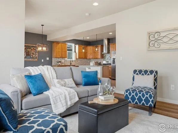 3804 Buckthorn St, Wellington, CO 80549