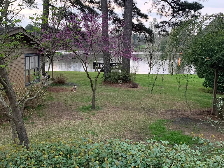 11 Lafayette County Rd 5303 — Photo 12