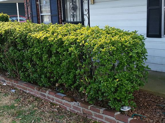 5th image of 4197 Arrowood Ave
