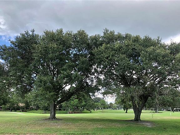 4th image of 5523 Palm Aire Dr