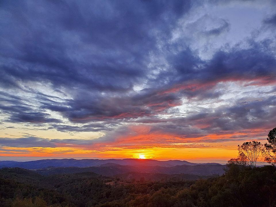 View from the Treehouse. 