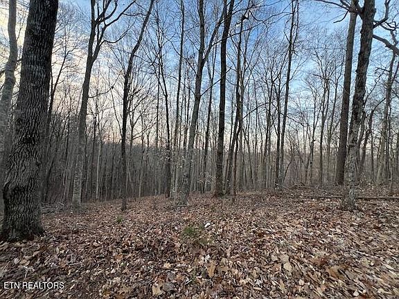 4th image of 192 Taylor Rd