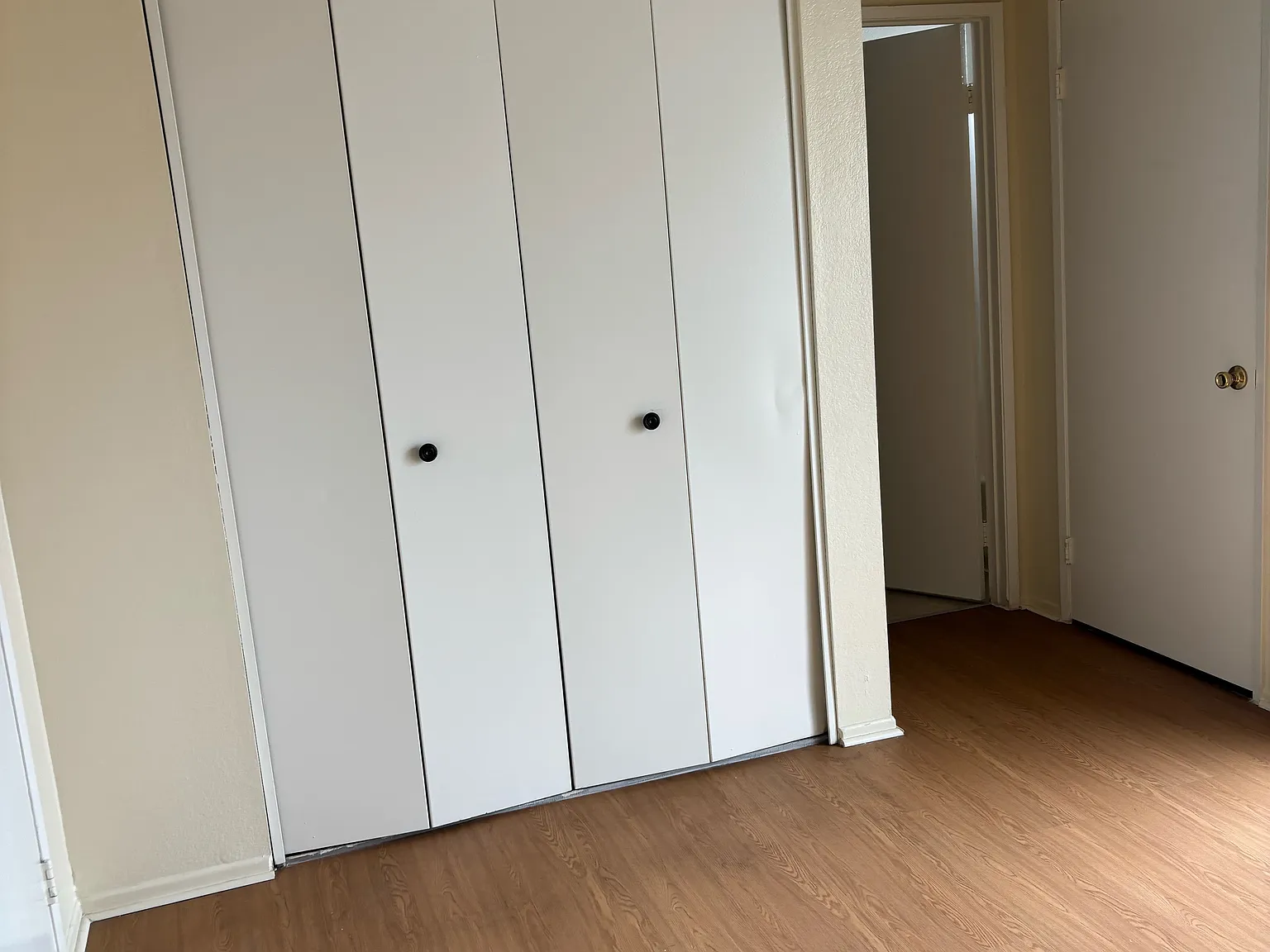1 bed, $1,495 — Photo 3