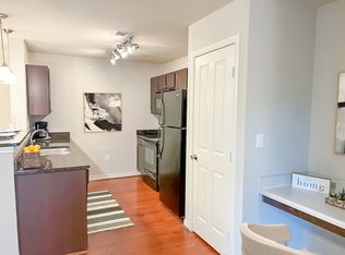 Lirio, San Antonio, TX 78240