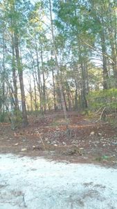 6197 Harvard Ave, Keystone Heights, FL, 32656