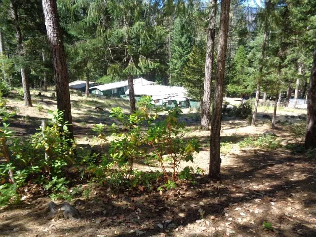 246 David Ln photo 1