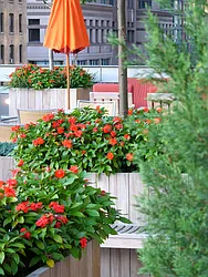 Rented by The Jack Parker Corporation