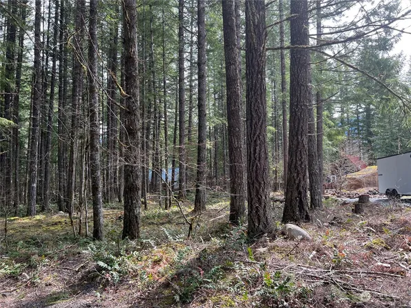 0 Tatoosh Trail, Packwood, WA 98361