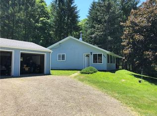 6623 Sodum Rd, Little Valley, NY 14755