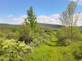 Scott Greene Rd, Roxbury, NY 12474