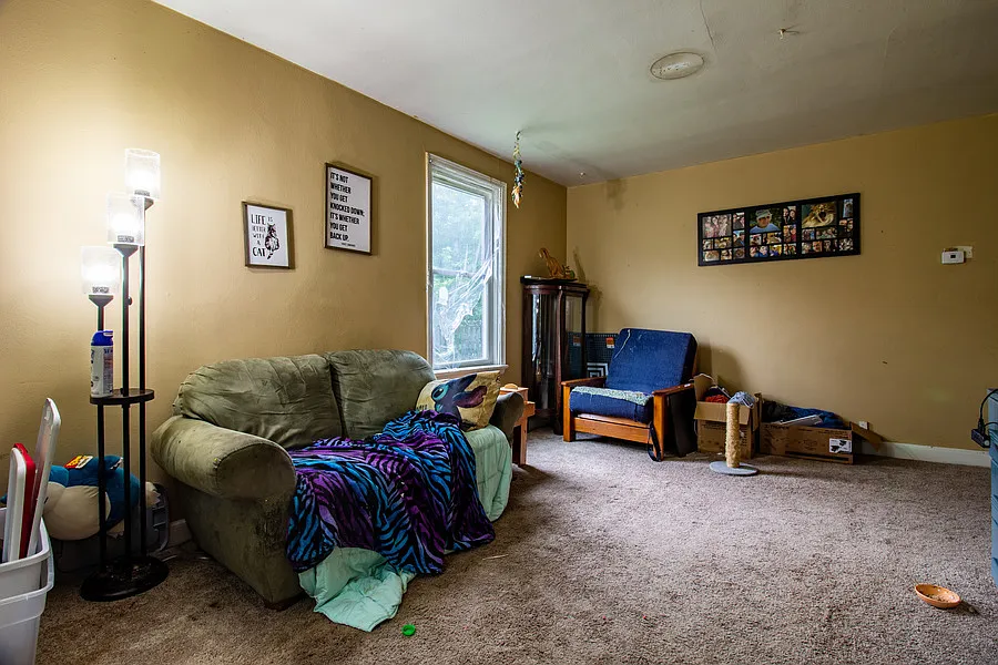 1 bed, $900 — Photo 2