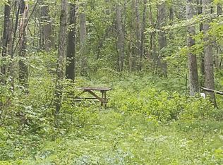 71 & 72 S Timber Trl, Curran, MI 48728