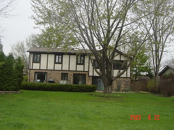 Back View