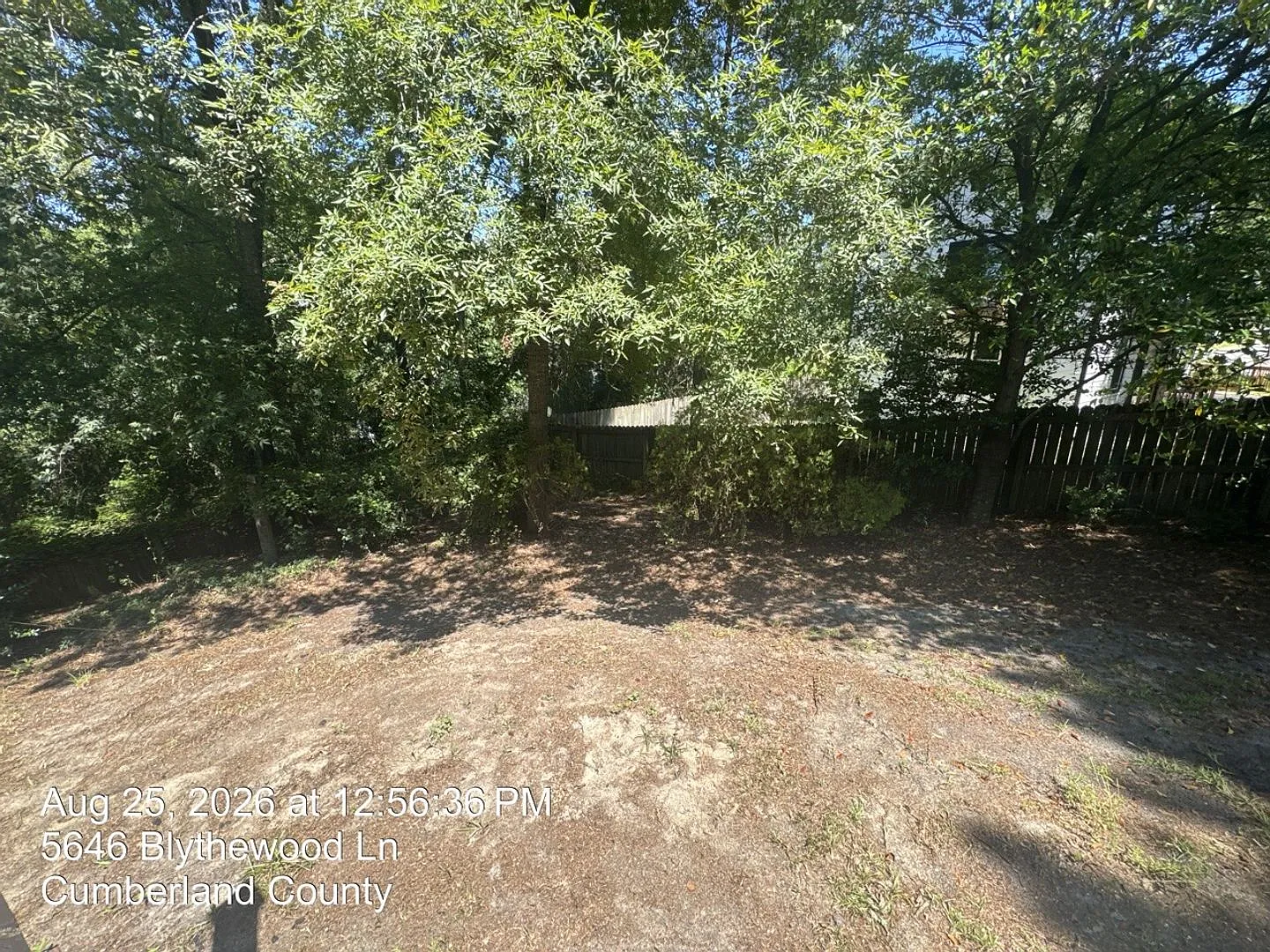 5646 Blythewood Lane — Photo 4