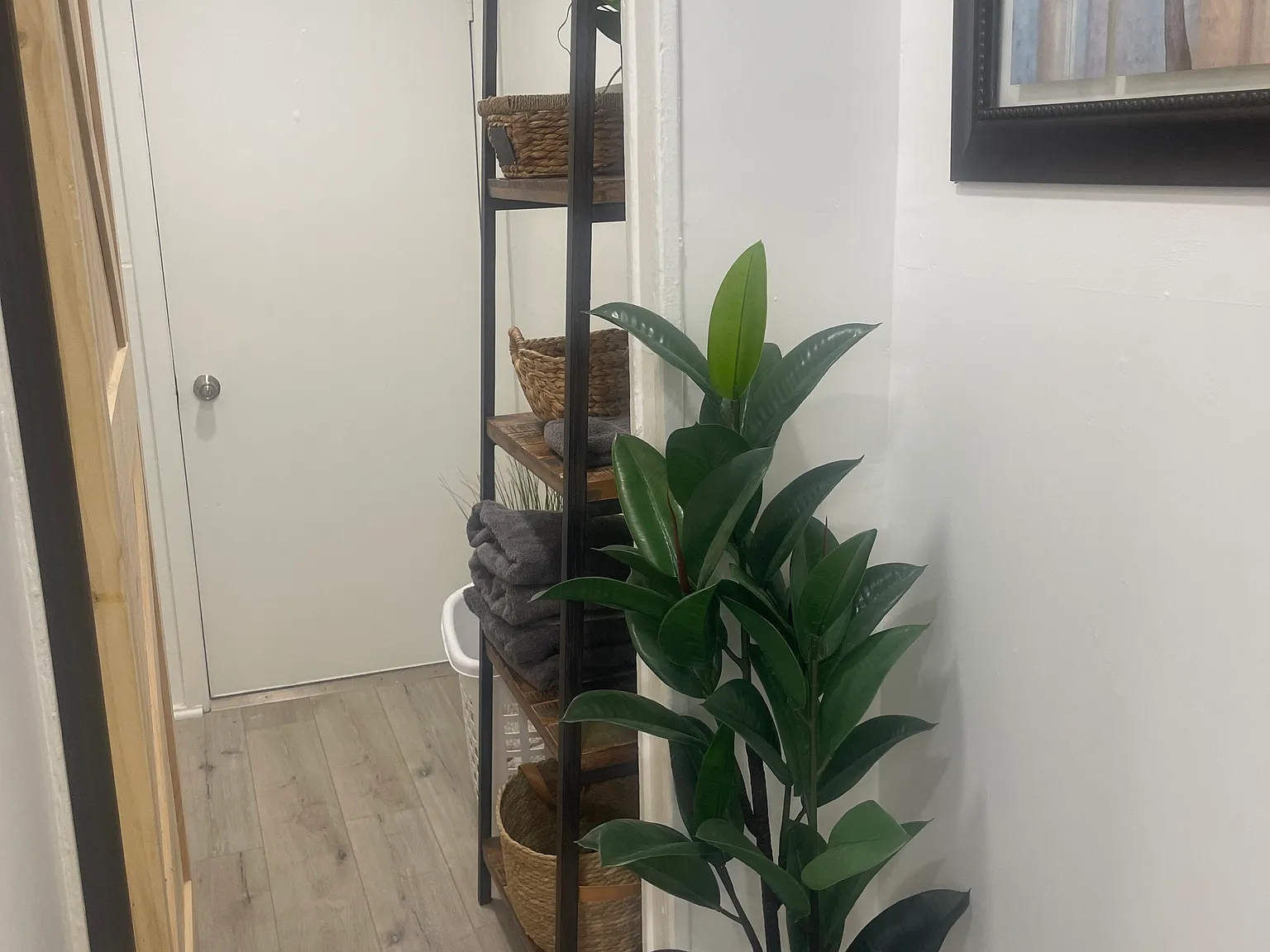 1 bed, 550 sqft, $1,300 — Photo 3