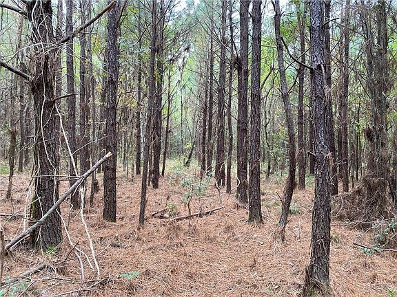 4th image of 15162 Penalber Rd