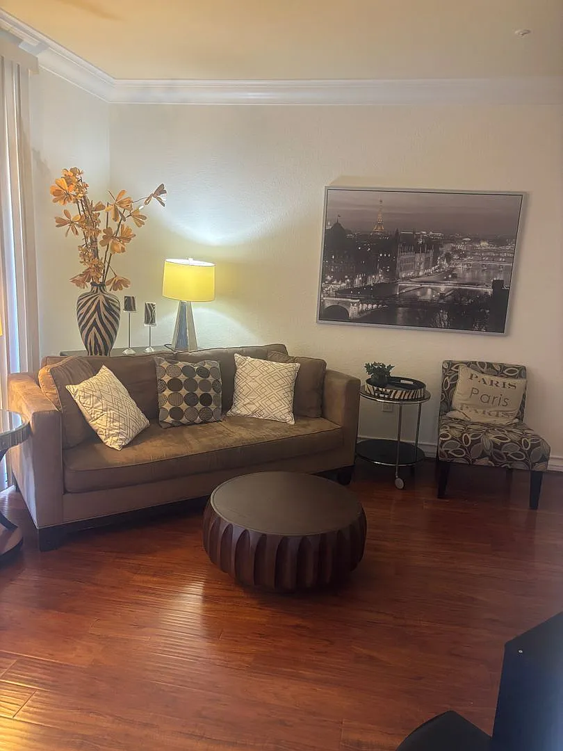 Meridian - Luxury 1Bdr/Bath Fully Furnished (Utilities Included) — Photo 1