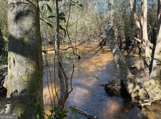 4 Mount Sinai Church Rd, Butler, GA 31006