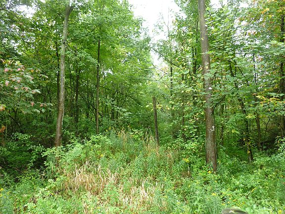 3rd image of 113th Avenue