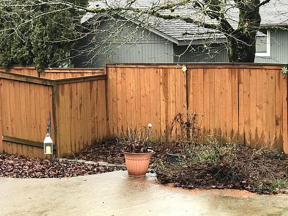Low maintenance backyard